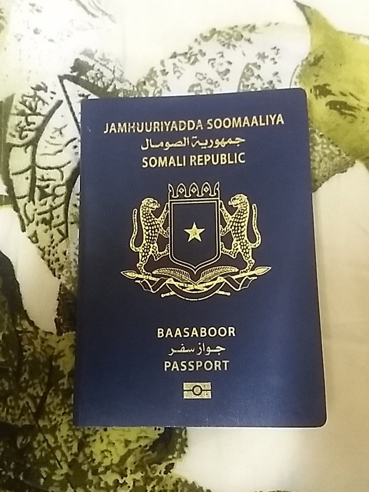 فيزا فيتنام 2023 هل يحتاج المواطنون الصوماليون إلى تأشيرة لدخول 7066
