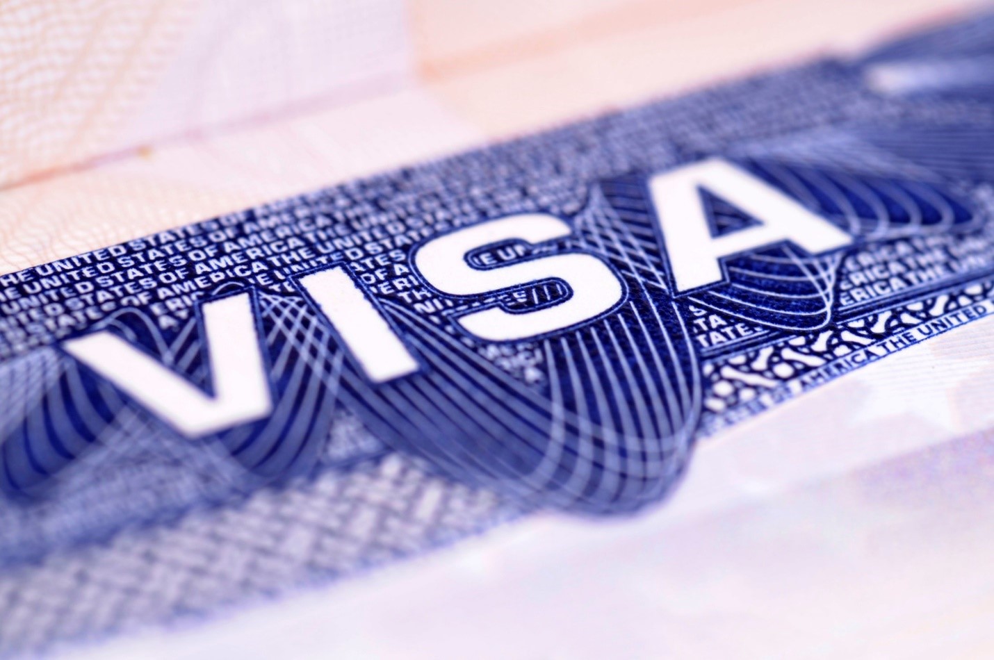 فيزا فيتنام أسرع تجربة للحصول على تأشيرة عند الوصول فيتنام للمواطنين من المصر ارتباط فيتنام 1155