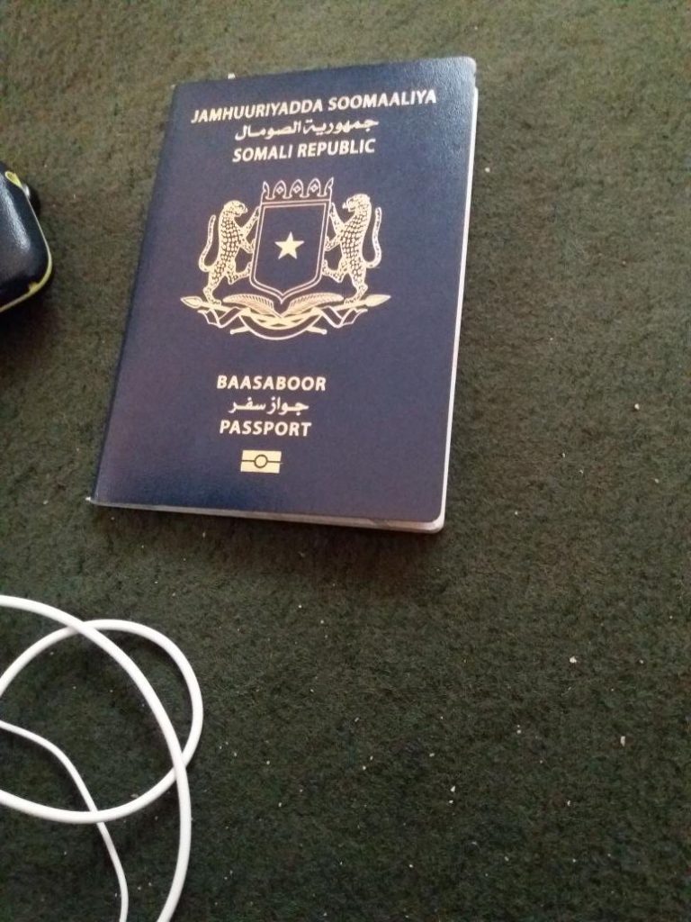 العربية فيزا فيتنام الإلكترونية لحاملي جوازات السفر الصومالية 2023 كيفية الحصول على فيزا 0861