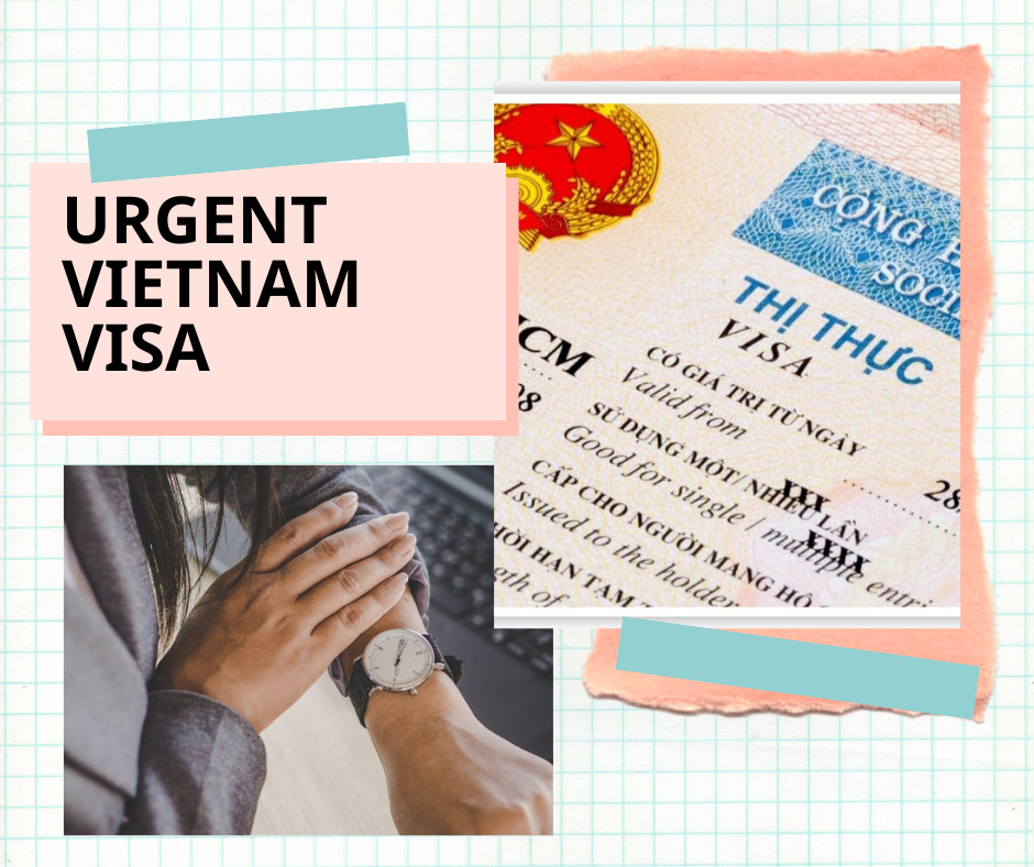 تأشيرة فيتنام الإلكترونية السريعة 2024 المواطنون السعوديون الذين يتقدمون للحصول على تأشيرة 8266